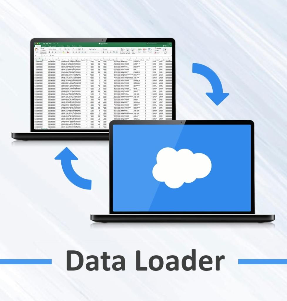 Data Loader Allows Seamless Transfer Of The Data!